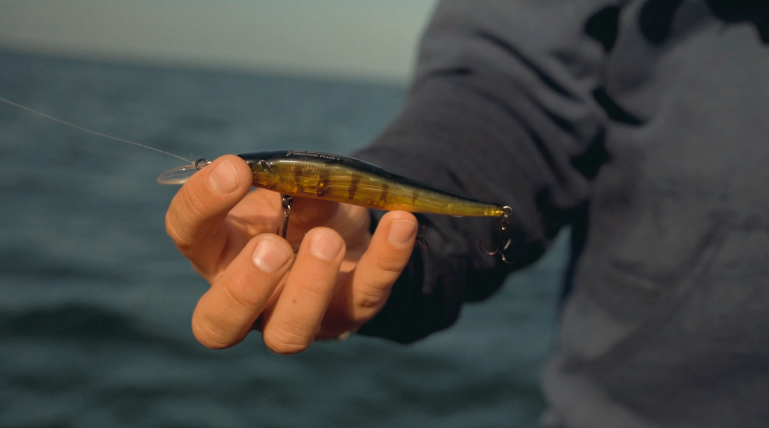 Bass Fishing Hotspots and Top Lures to Reel Them In!