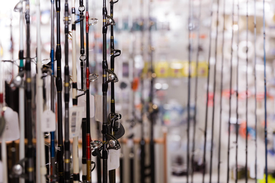 Fishing Rods 101: How to Choose the Right Rod for the Right Fish