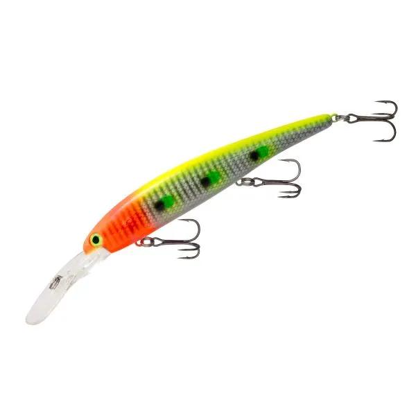 Big Bite Baits 4-Inch Ring Tube Lure (100-Pack), Watermelon Seed, Soft  Plastic Lures -  Canada