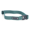 Simms Wading Belt - Avalon Teal