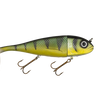 Livingston Magnus 10” - BB Perch
