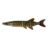 Savage Gear 4D Line Thru Pike - 10" - Striped Pike