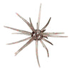 Hag's Prickly Pear 9.9mm - Hill Country Hologram