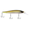 Berkley Stunna 112+1 - MF Tennessee Shad