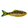 6th Sense Panorama 5" - Live Sunfish