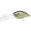 Nishine Chippawa XDD - Hologram Shad