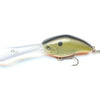 Nishine Chippawa XDD - Black Back Gold