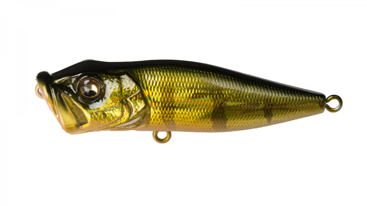 Megabass Pop-X | Angling Sports