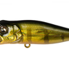 Megabass Pop-X - GG Perch