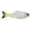 6th Sense Panorama 5" - Pro Blue Minnow