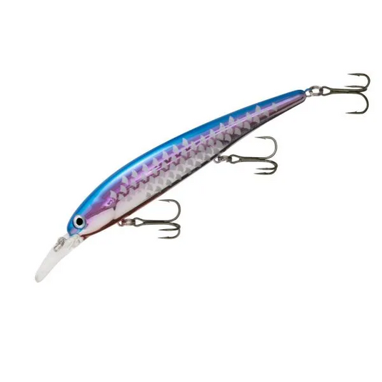 Bandit Walleye Shallow