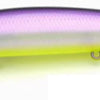Raid Level Minnow Plus - Stain Killer