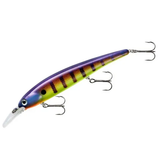 Bandit Walleye Shallow