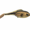 Snag Proof Zoo Wake - Bull Frog Tadpole