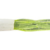 Big Bite Baits 1.5" Crappie Tube - White/Chartreuse