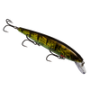 Strike King KVD Elite 300 Jerkbait - Phantom Perch