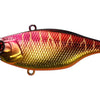 Jackall TN/60 - Spawning Tiger