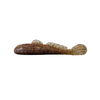 Grumpy Goliath Goby 3.3" - Brown Goby/Copper