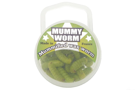 Mummy Worm