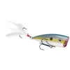 Strike King KVD Splash Jr Topwater - Chrome Sexy Shad