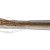 Anglers Choice 3.75" Tube - CB GOBY