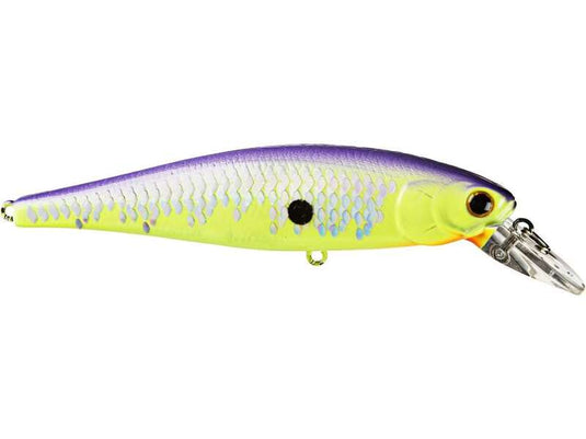 Pointer 100 SP