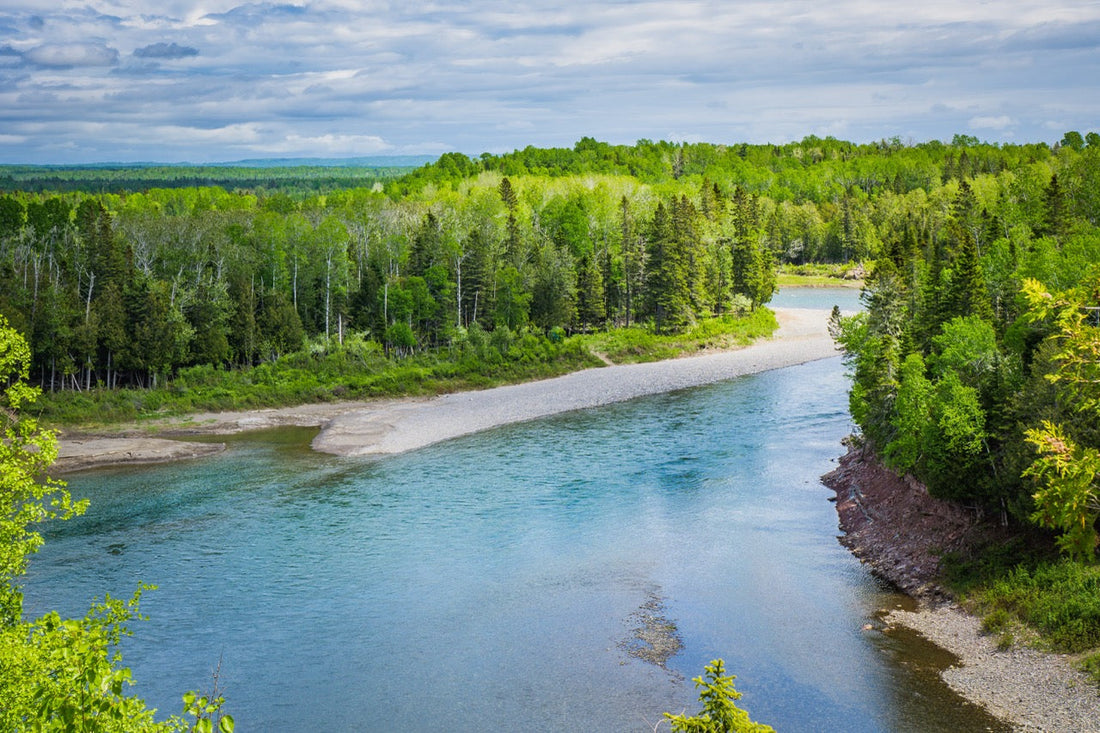 Top Trout Fishing Destinations in Canada to Visit This Spring