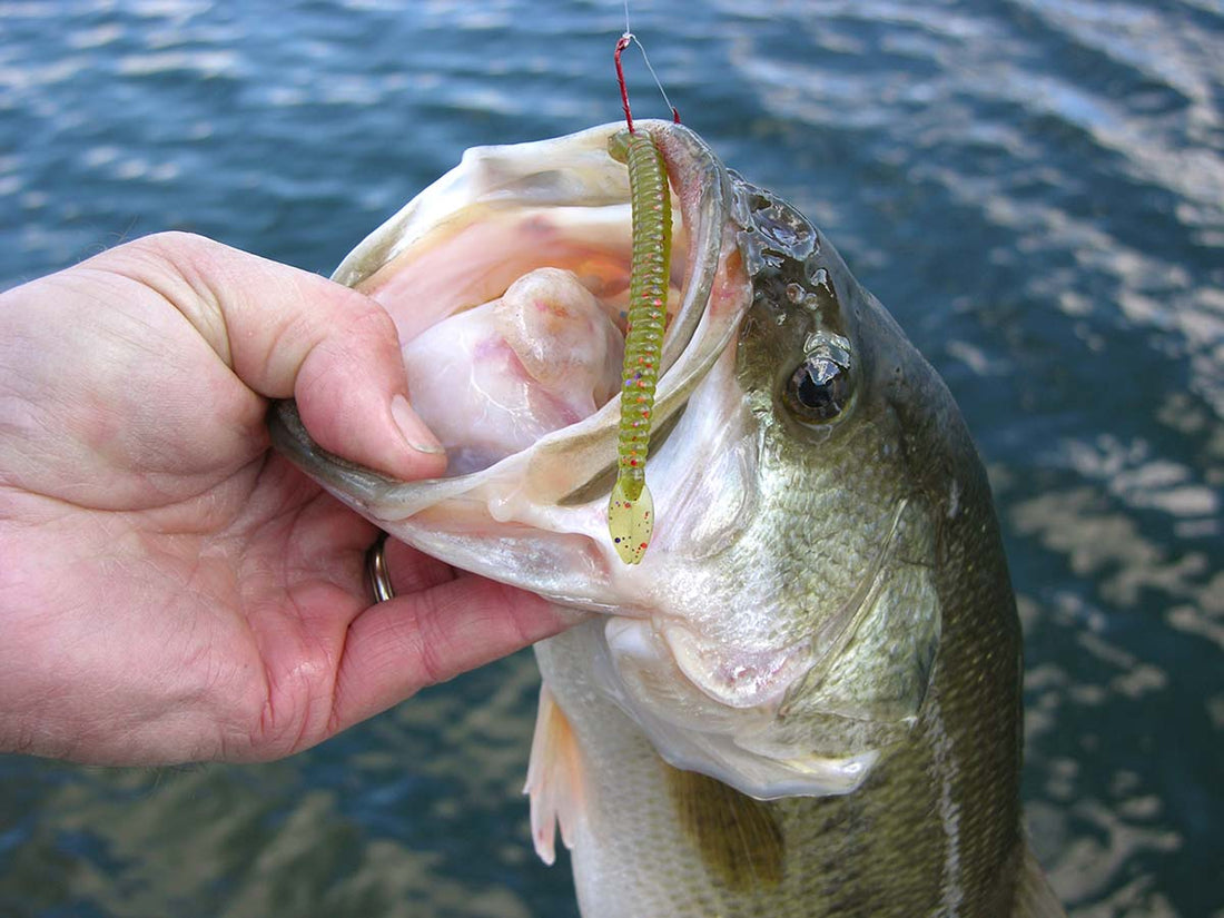 How to Improve Your Spinnerbait Bass Fishing Efficiency