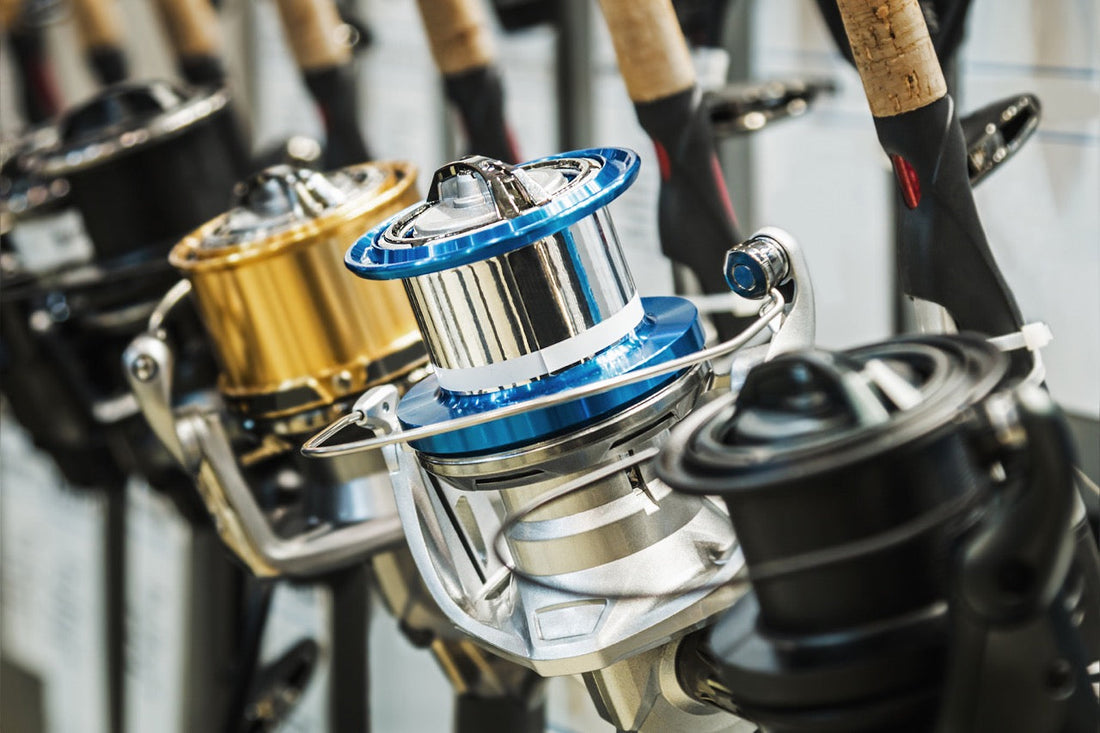 Fishing Reels 101: How to Choose the Right Reel Fishing Reels 101: How to Choose the Right Reel