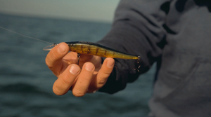 Bass Fishing Hotspots and Top Lures to Reel Them In!