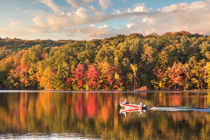Ontario Fall Fishing Tips & Tricks You Need to Know