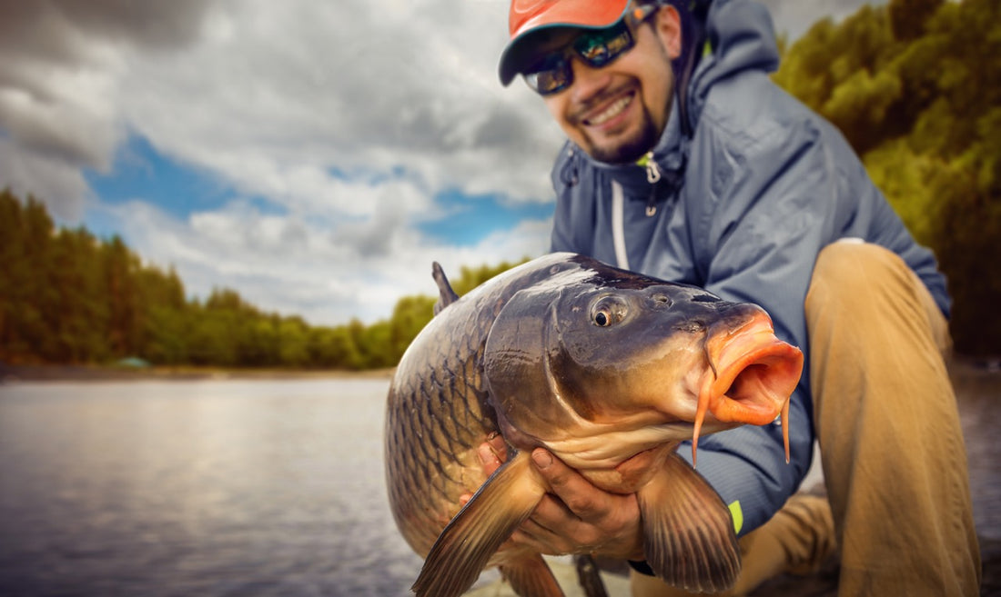 How to catch carp: the best tips for catching big carp
