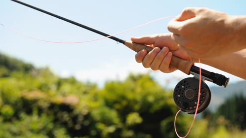 When Should I Change My Fishing Line After Back-to-Back Summer Trips?