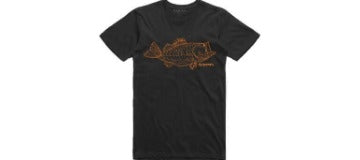 Short Sleeve Shirts