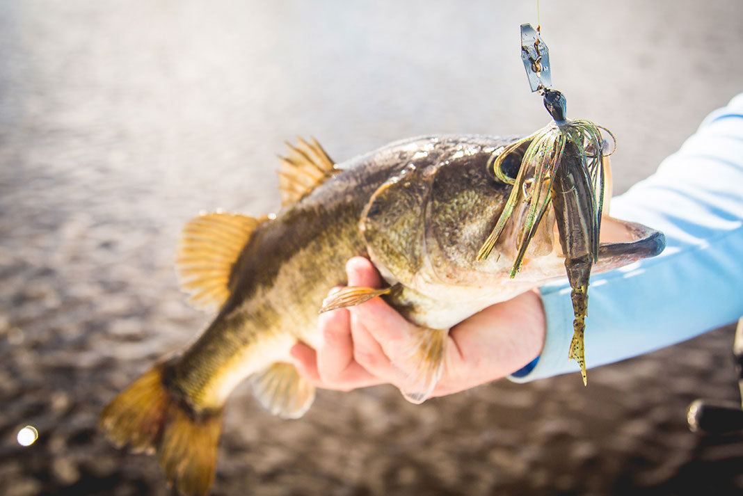 ChatterBait®