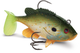 Storm Wildeye Live Sunfish