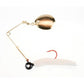 Johnson Beetle Spin Gold Blade