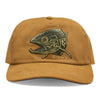 Simms Double Haul Cap - Cobia Fish
