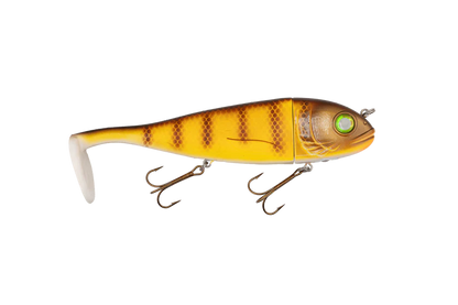 Livingston Magnus 10”