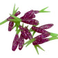 Bondy Bugs 1.75"