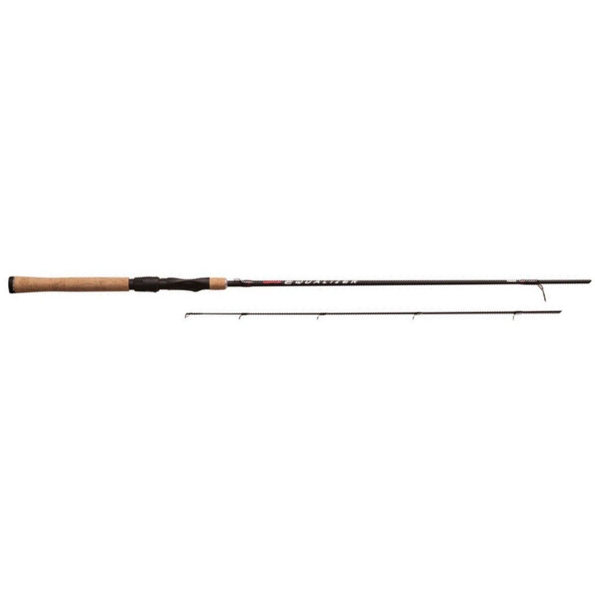Quantum Equalizer Spinning Rod