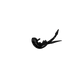 Clam Scudi XL - 1 ⅜”