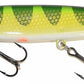 Joe Bucher 7" Shallow Raider