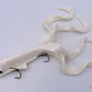 Musky Innovations Magnum Quad Dawg