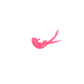 Clam Scudi XL - 1 ⅜”