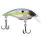 Berkley Shallow Money Badger