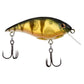Berkley Shallow Money Badger