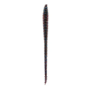6th Sense Boosa Shakey Worm 6.5