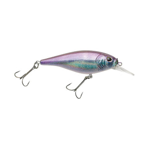 Berkley Flicker Shad Shallow