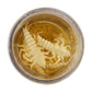 Berkley Gulp! Alive! Stonefly - 1.25"